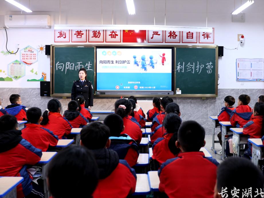 守护青春，共赴禁毒之约：当“专业力量”牵手“未来希望” 